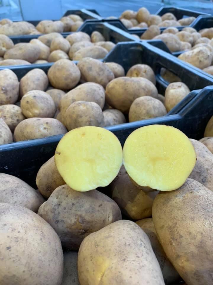 Calabria Patate ha scelto www.apronline24.com